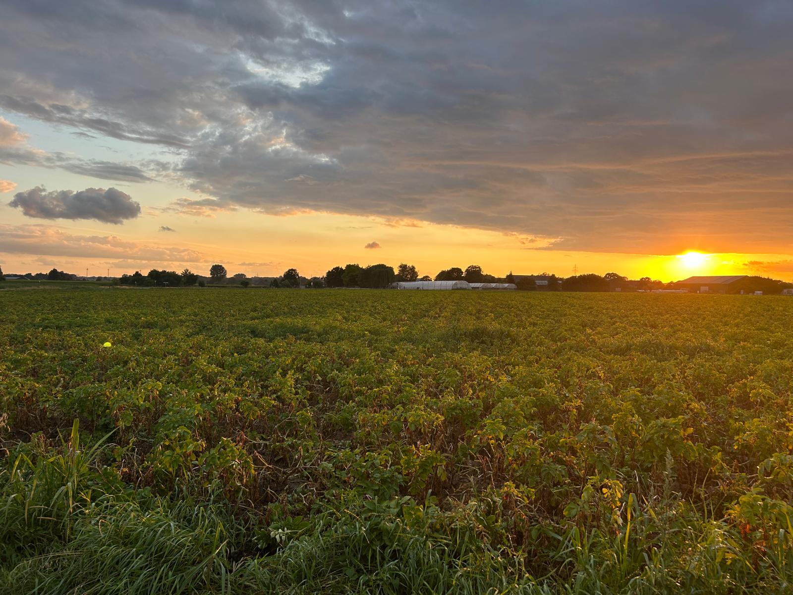 Eindruck vom Schmeddershof